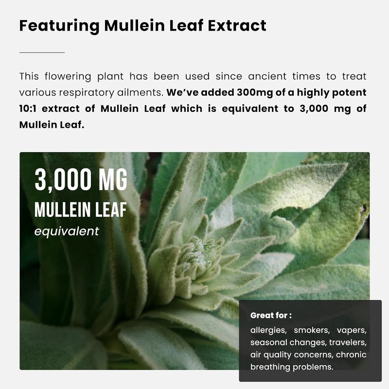 สารสกัดจากใบมัลลีน - ทำความสะอ - Herbal Supplement บทวิจารณ์และราคา