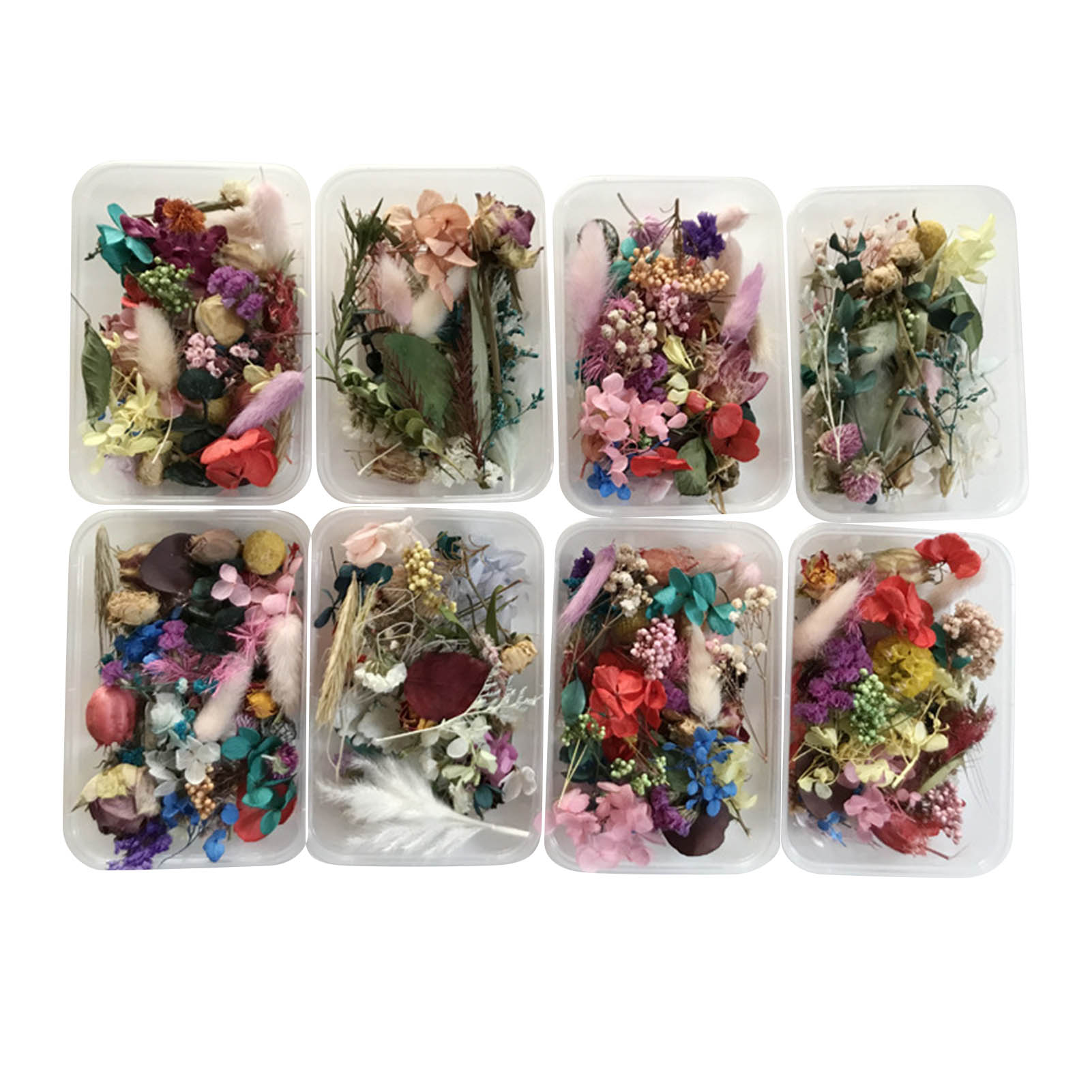 ดอกไม้แห้งธรรมชาติชุด Pressed  - Dried Herbs บทวิจารณ์และราคา