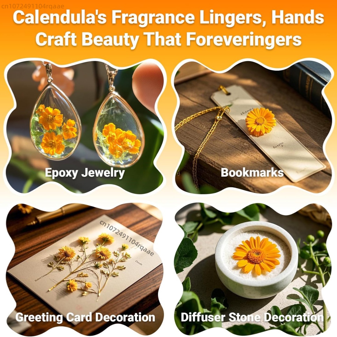 ดอกดาวเรืองแห้งธรรมชาติ (สีส้ม - Chamomile Tea บทวิจารณ์และราคา