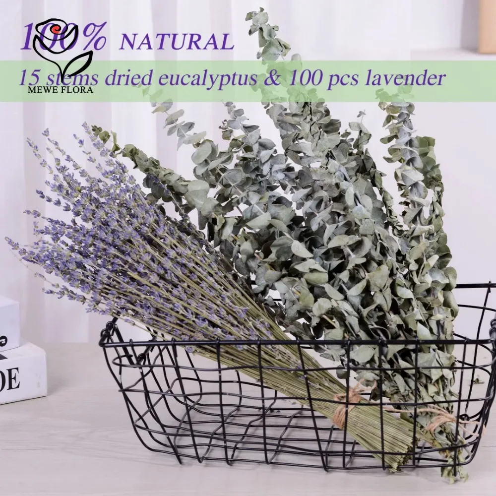 30 ชิ้นดอกไม้แห้ง Preserved Eu - Dried Herbs บทวิจารณ์และราคา