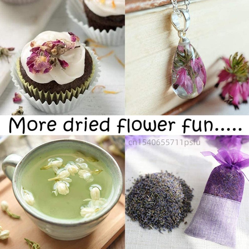 ดอกคาโมไมล์แห้งคุณภาพสูงจากธรร - Chamomile Tea บทวิจารณ์และราคา